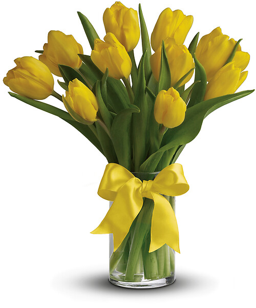 Sunny Yellow Tulips