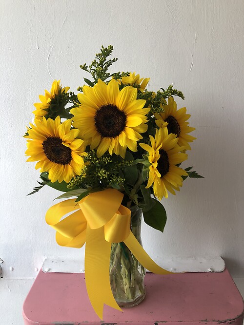 Sunshine