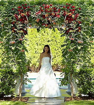 The Arbor of Love&amp;trade; Archway