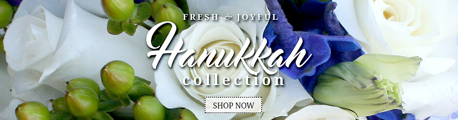 Hanukkah Banner