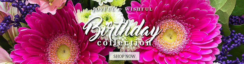 Birthday Banner