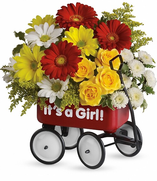 Baby&#039;s Wow Wagon - Girl