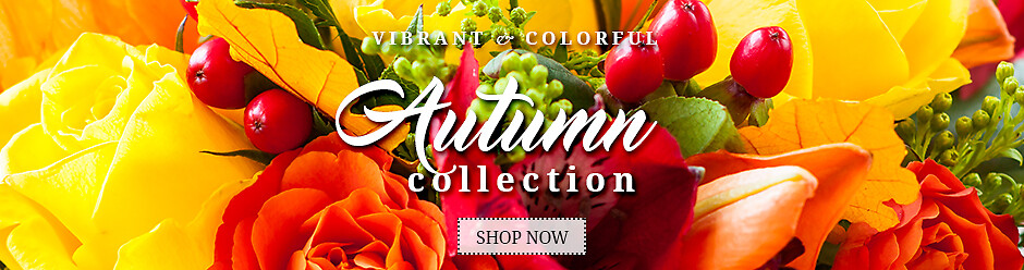 Autumn Banner